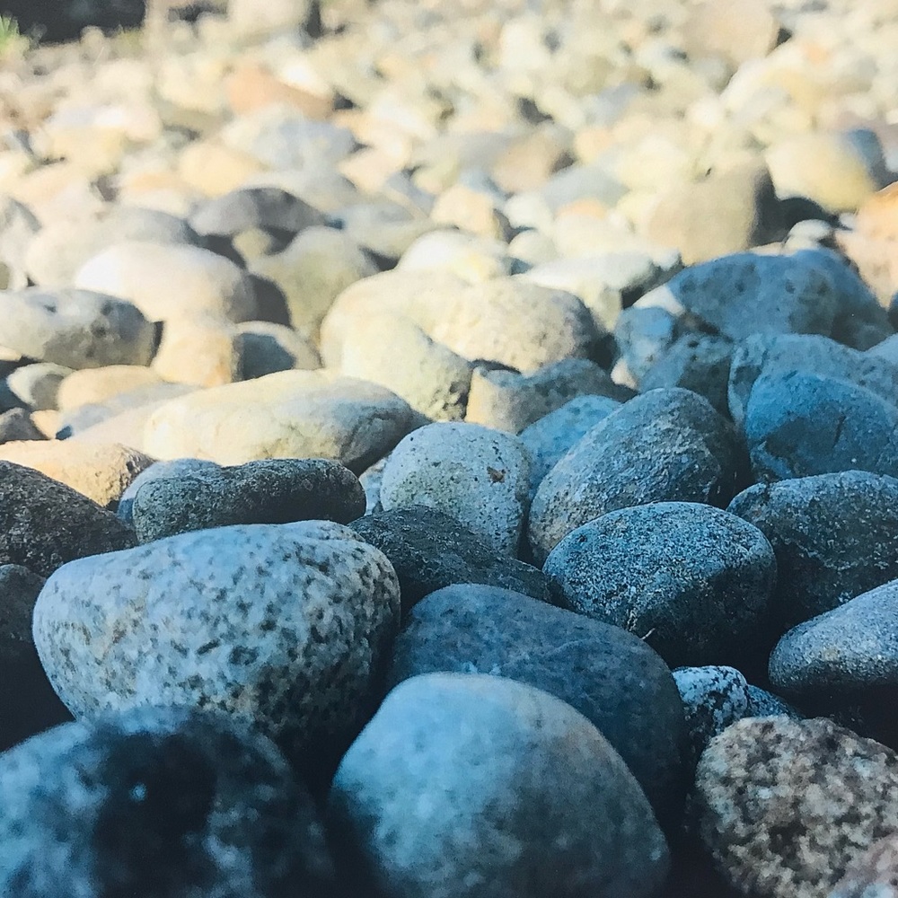 Meet your Posher, Lia